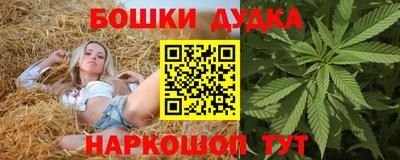 spice Краснознаменск