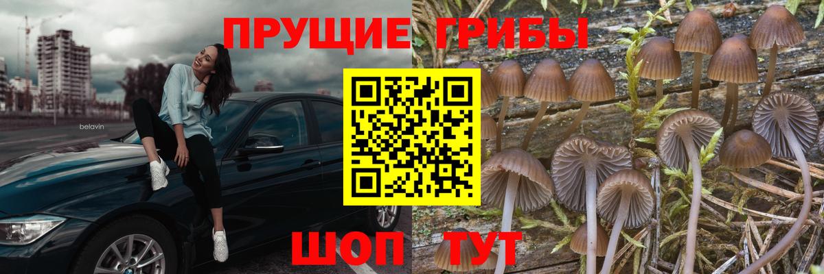 Карпинск  Галлюциногенные грибы ЛСД  Вход с VPN 